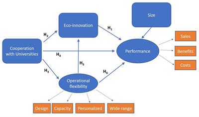 Cooperation With Universities in the Development of Eco-Innovations and Firms’ Performance